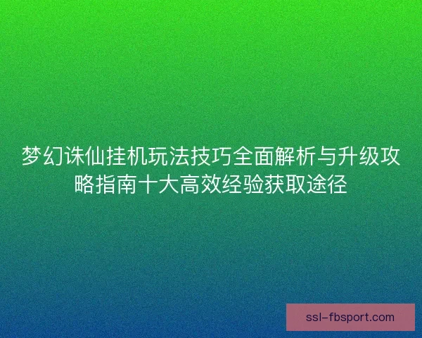 梦幻诛仙挂机玩法技巧全面解析与升级攻略指南十大高效经验获取途径