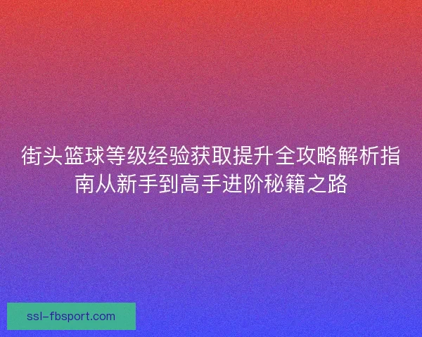 街头篮球等级经验获取提升全攻略解析指南从新手到高手进阶秘籍之路