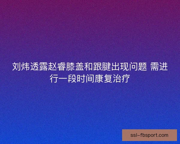 刘炜透露赵睿膝盖和跟腱出现问题 需进行一段时间康复治疗 刘炜透露赵睿膝盖和跟腱出现问题 需进行一段时间康复治疗