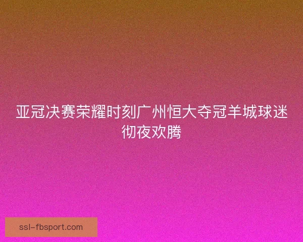 亚冠决赛荣耀时刻广州恒大夺冠羊城球迷彻夜欢腾